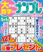 大きな数字のナンプレSpecial