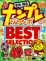 ナンプレジャンボベーシックBestSelection Vol.17